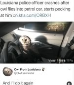 1000047326.jpg
