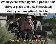 shoottanneritedog.webp