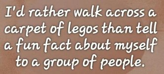walkonlegos.jpeg
