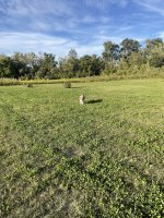 IMG_6833.jpeg