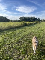 IMG_6836.jpeg