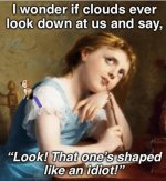 shapedlikeidiot.jpg