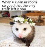trashleft.jpg