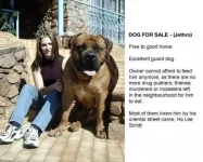 dogforsale.webp