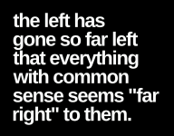 leftsofarleft.png