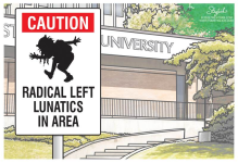 cautionlunatics.png