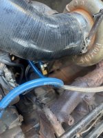 IMG_3907.jpeg
