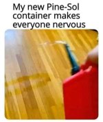 pinesolcontainer.jpeg