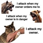 attackowner.jpeg