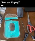 lifegoing.jpeg
