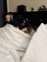 IMG_1482.jpeg