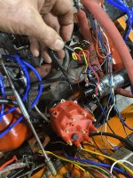IMG_2126.jpeg