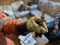 IMG_2599.jpeg