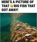 fishgotaway.jpg