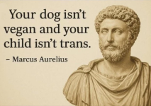 1758905584925.png