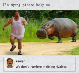 1759004922921.png