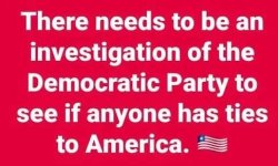 democratinvestigation.jpg
