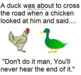 duckcrossroad.jpeg