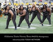 alabamahoneybeez.jpg