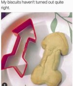quiterightbiscuits.jpg