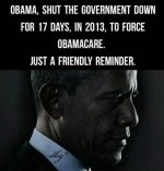 shutdowngov.jpeg