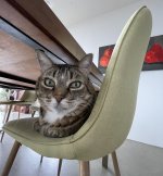 IMG_6196.jpeg