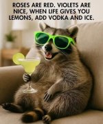 vodkaandice.jpg