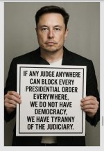 judicialtyrrany.jpeg