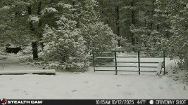 IMG_20251012_210136.jpg