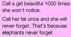 elephantsdontforget.webp