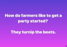 turnupthebeets.webp