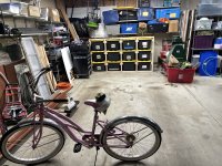 IMG_7227.jpeg IMG_7227.jpeg