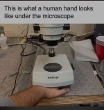 humanhand.jpeg
