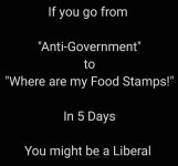 antigovernmentfoodstamps.jpg