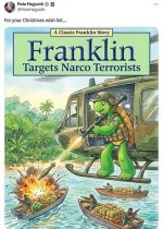 franklinturtletargetsdrugboats.jpeg