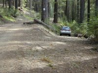 Claim-top of driveway.jpg