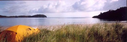 beach.jpg
