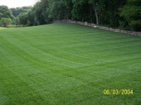 Green1.jpg