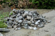 July 19 08 013 (Medium).jpg