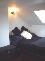 house 006.jpg
