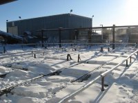 IMG_1301.jpg