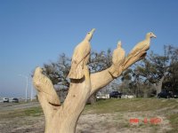 tree8.jpg