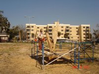tree10.jpg