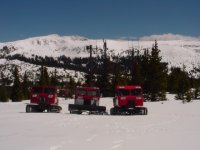 Snow 016.jpg