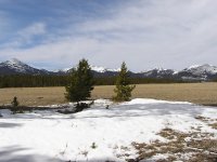 Looking West From Front Of Cabin Site.JPG