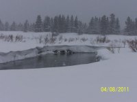 000_1313.jpg