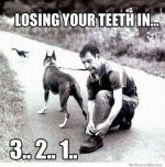 teeth.jpg