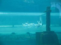 IMG_1538.jpg