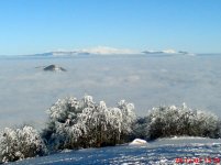 dsc01128cd4.jpg
