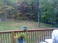 IMG_0661.JPG